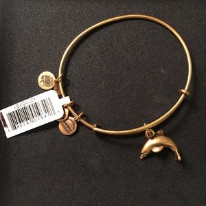 Alex and Ani Dolphin Charm Bangle